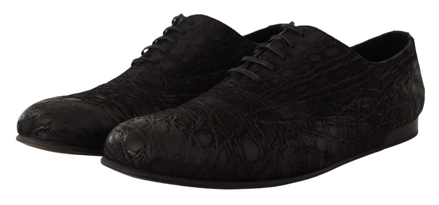 Dolce & Gabbana Schwarzes Kaimanleder Herren Oxford Schuhe