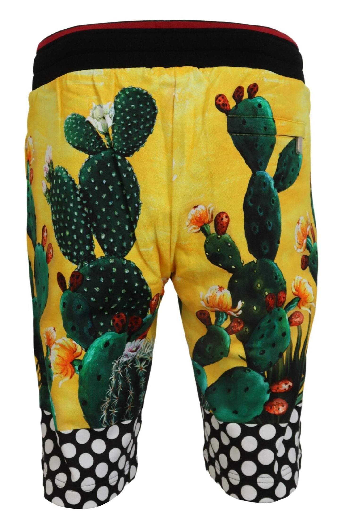 Dolce & Gabbana Multicolor Kaktus Druck Baumwolle Sweat Shorts