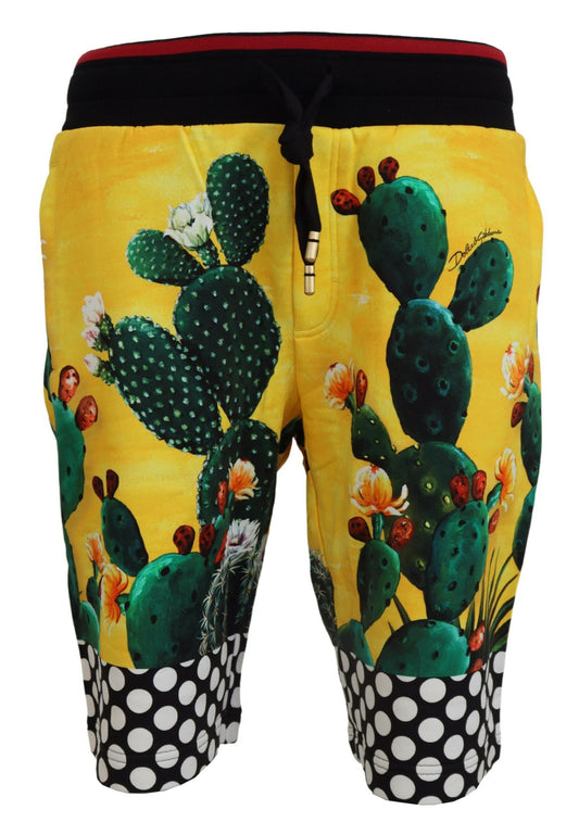Dolce & Gabbana Multicolor Kaktus Druck Baumwolle Sweat Shorts