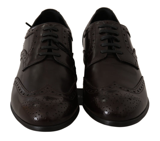 Dolce & Gabbana Braune Leder Broques Oxford Wingtip Schuhe