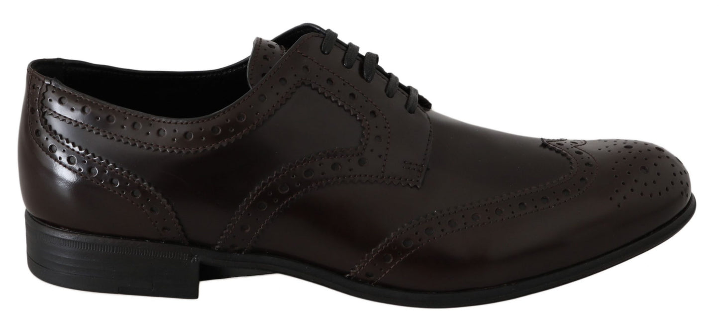 Dolce & Gabbana Braune Leder Broques Oxford Wingtip Schuhe