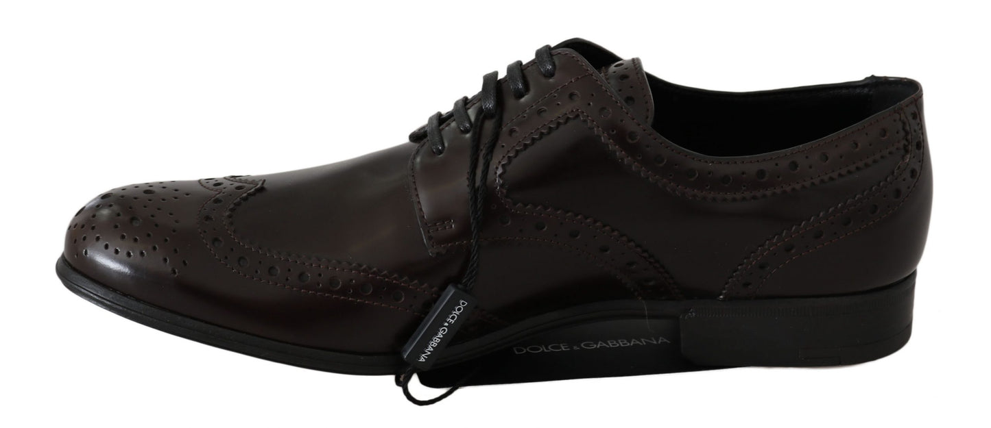 Dolce & Gabbana Braune Leder Broques Oxford Wingtip Schuhe