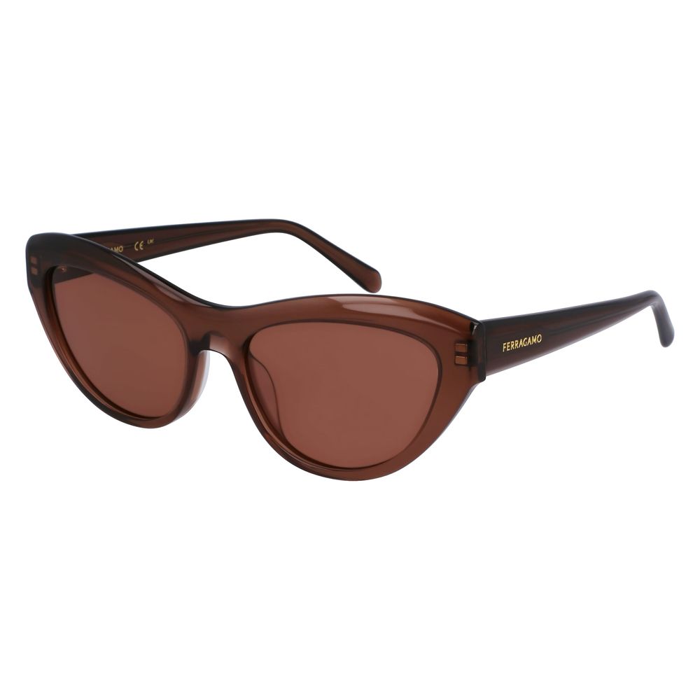 Ferragamo Braune Sonnenbrille aus Acetat